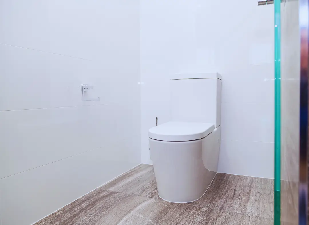 Remplacement de wc Fonsorbes